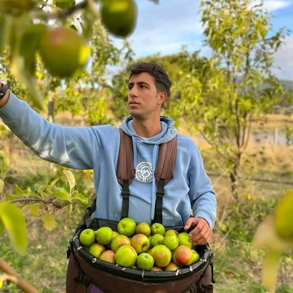 Highest-Paying Fruit Picking Jobs in Canada with Free Visa Sponsorship — Earn $25+/hr